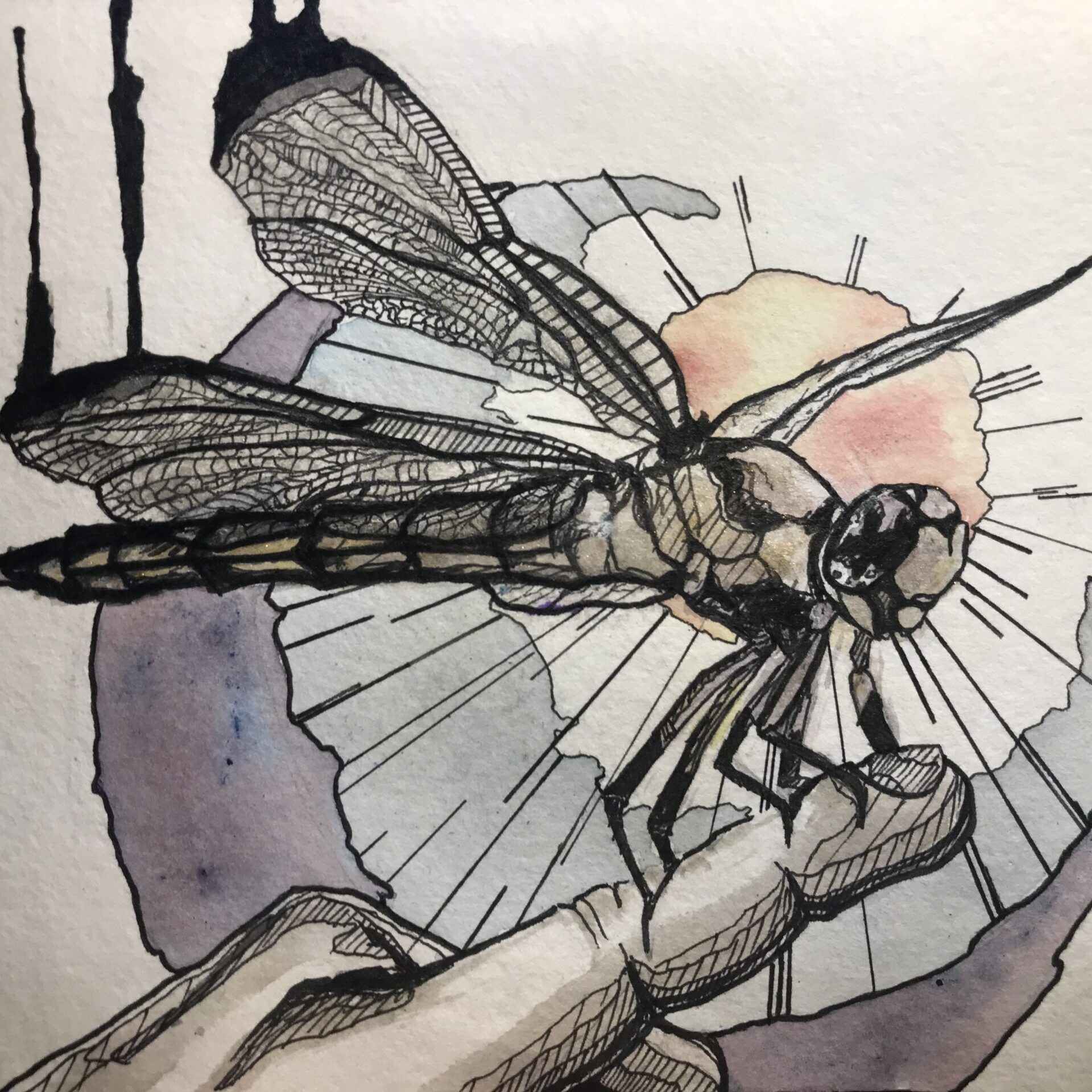 DragonFly Friend - Art by Luis Saldana